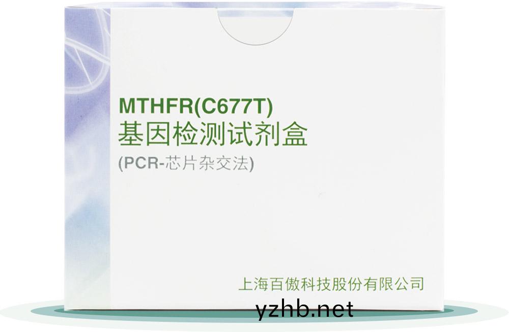 MTHFR(C677T)
基囙檢測試劑盒