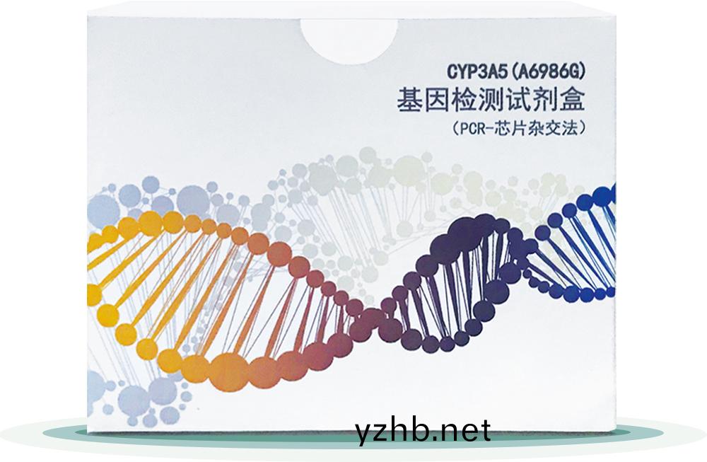 CYP3A5(A6986G) 
基囙檢測試劑(ji)盒